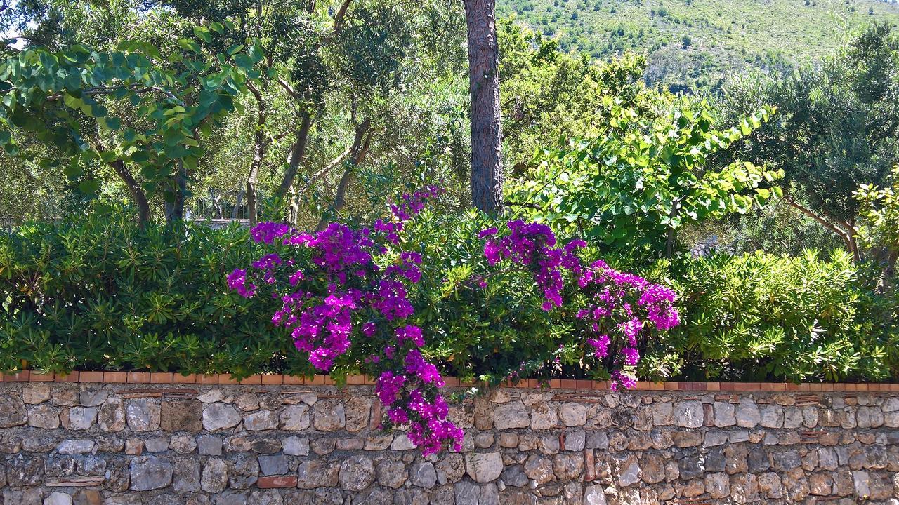 Hotel Cala Del Citro Maratea Kültér fotó
