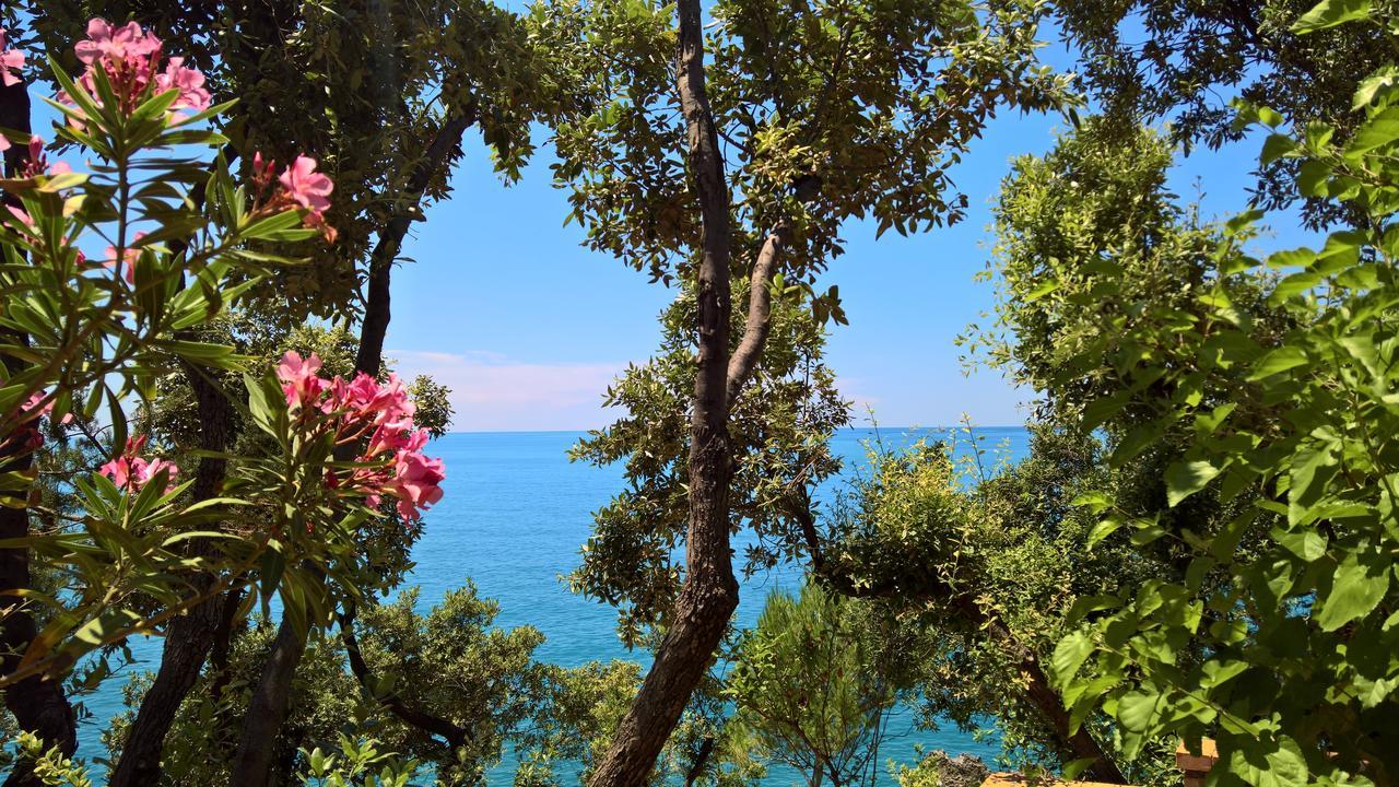 Hotel Cala Del Citro Maratea Kültér fotó