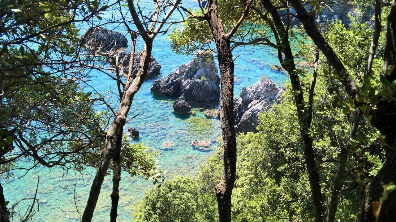 Hotel Cala Del Citro Maratea Kültér fotó